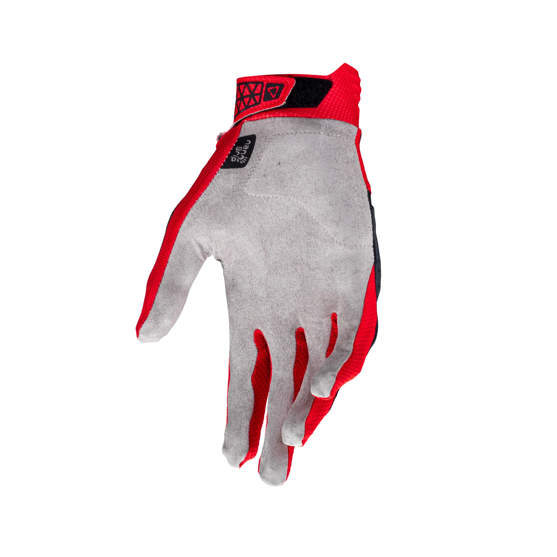 Miniatura 9