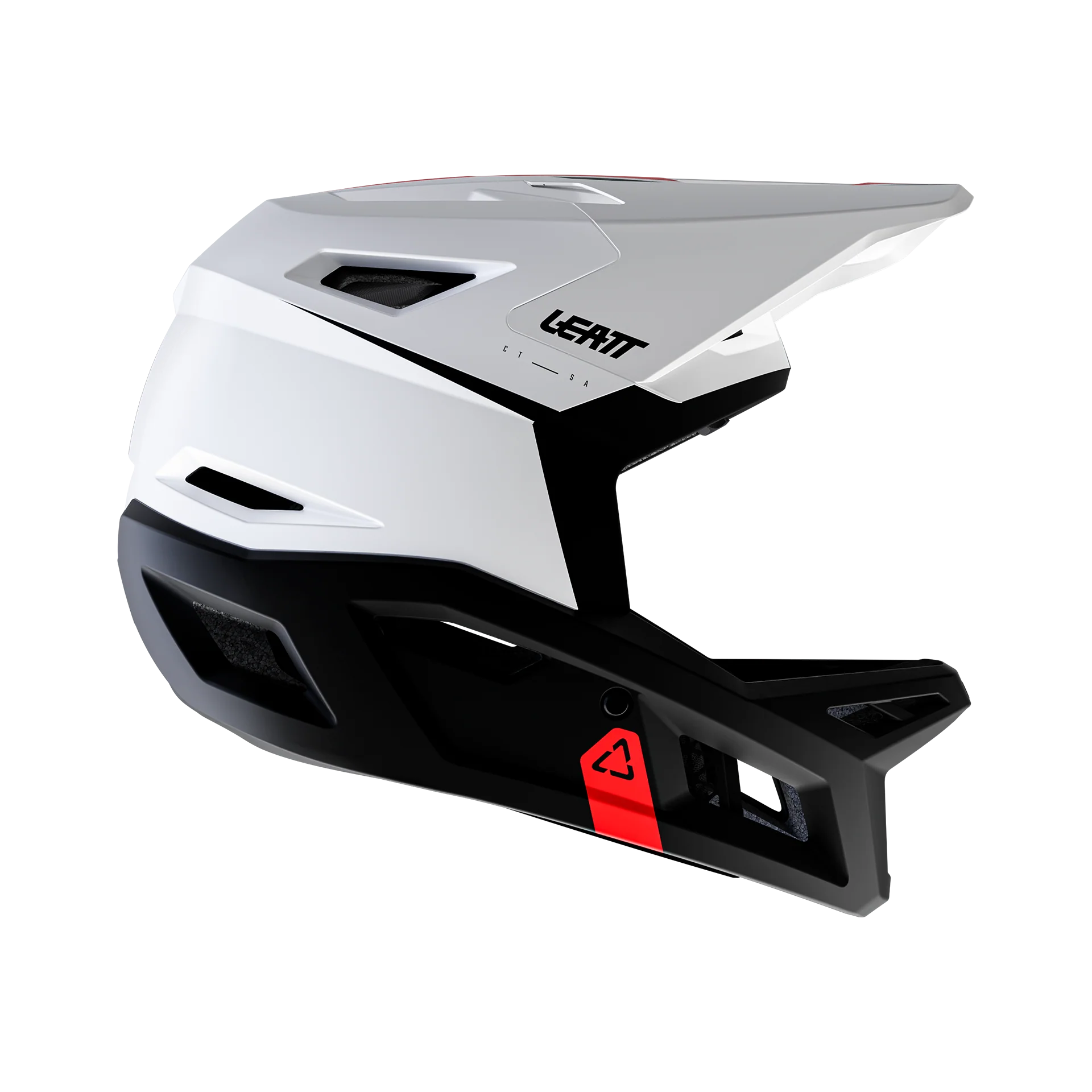 Miniatura 10