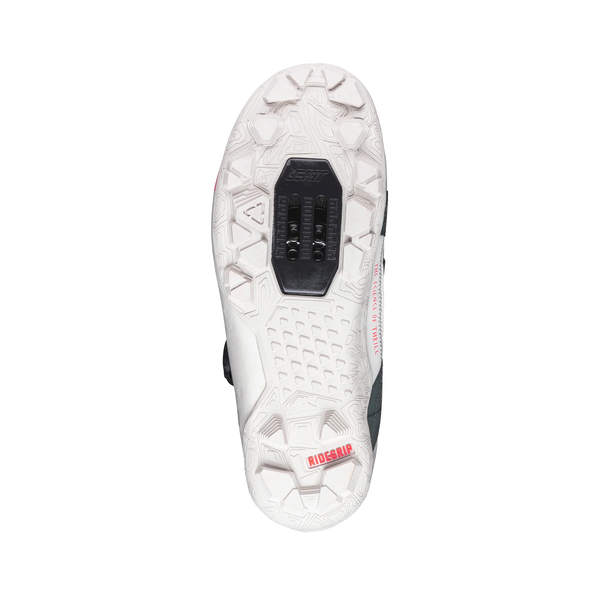 Miniatura 12